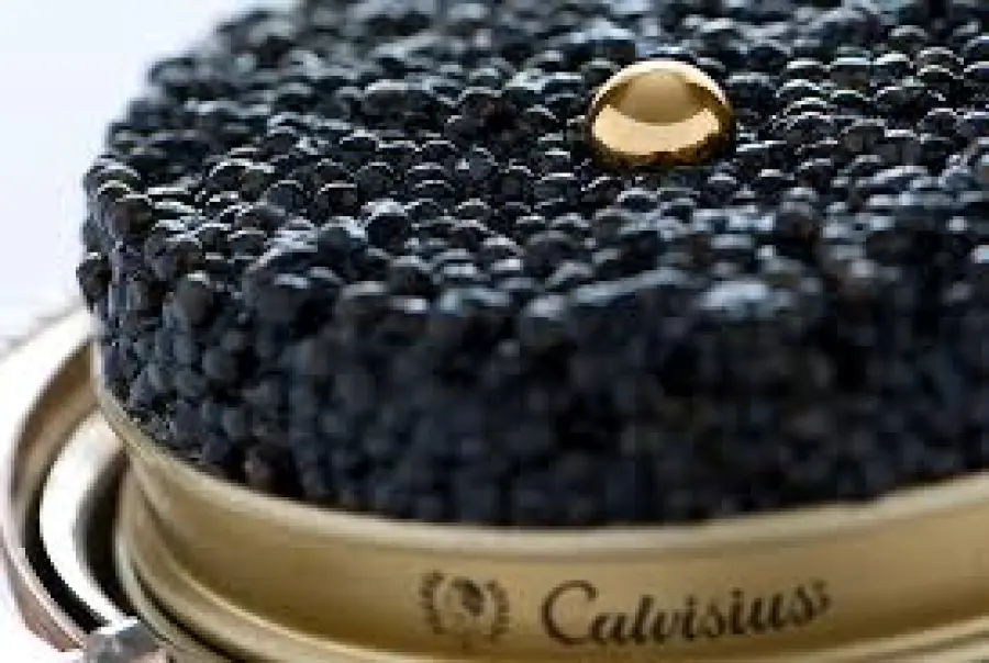 Calvisius Caviar: L’oro nero italiano