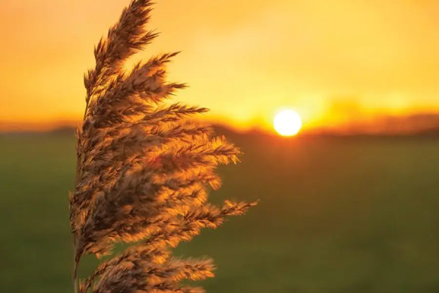 La bombola GPL rappresenta una soluzione ottimale per ridurre le emissioni inquinanti?